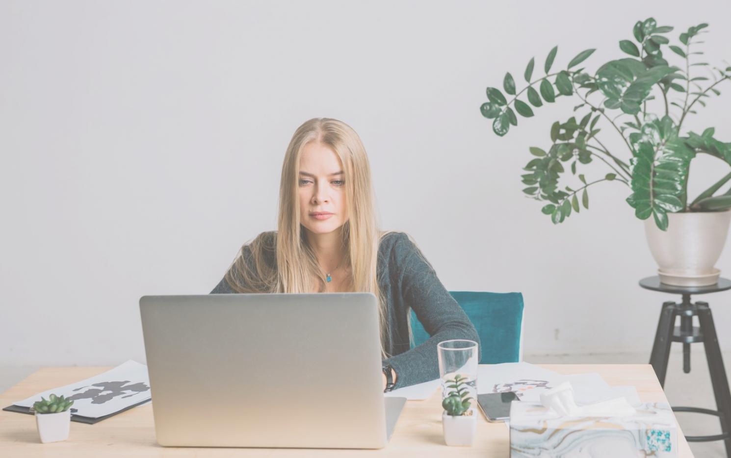 Online-Webinar bei zosilqenboilu mit Live-Interaktion